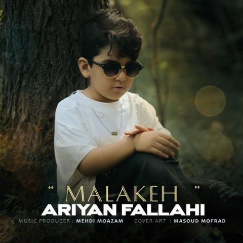 دانلود آهنگ آرین فلاحی ملکه